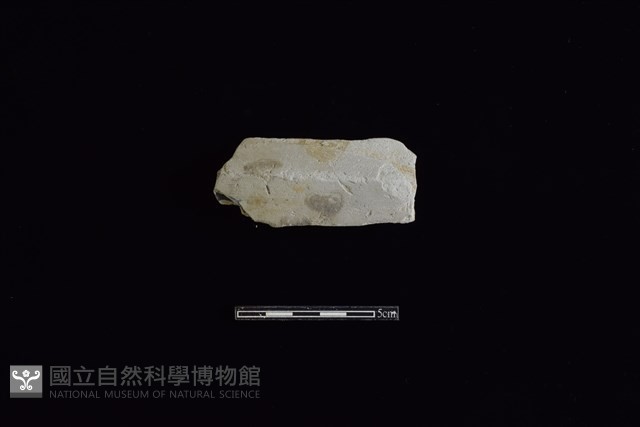 陶片藏品圖，第1張
