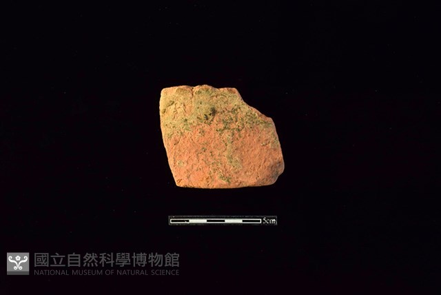 陶片藏品圖，第1張