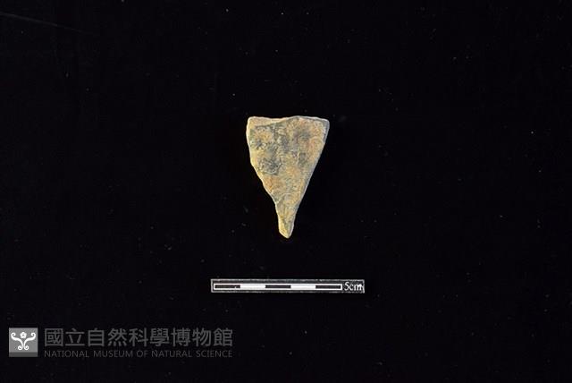 陶片藏品圖，第1張