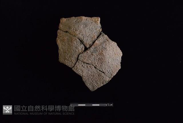 陶缽藏品圖，第1張