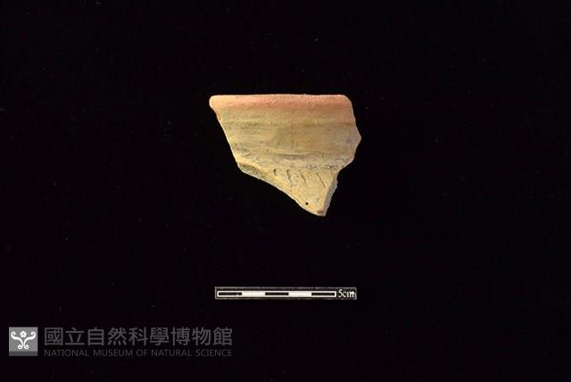 陶罐藏品圖，第1張