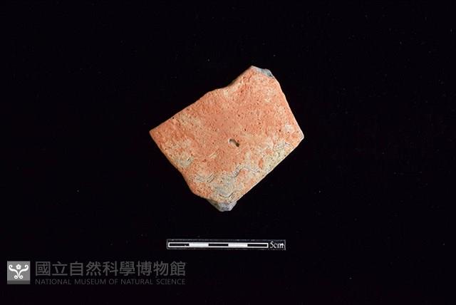 陶片藏品圖，第1張