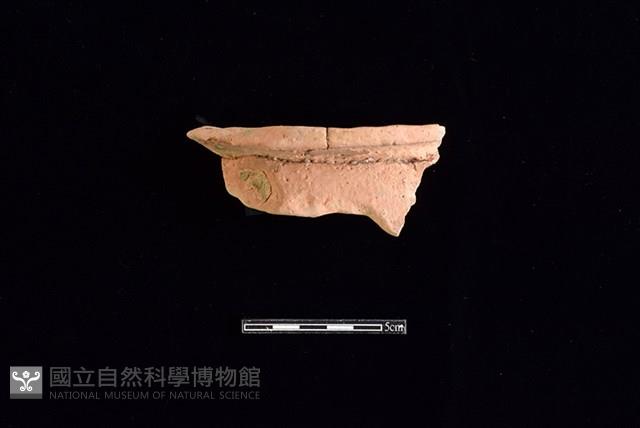 陶罐藏品圖，第1張