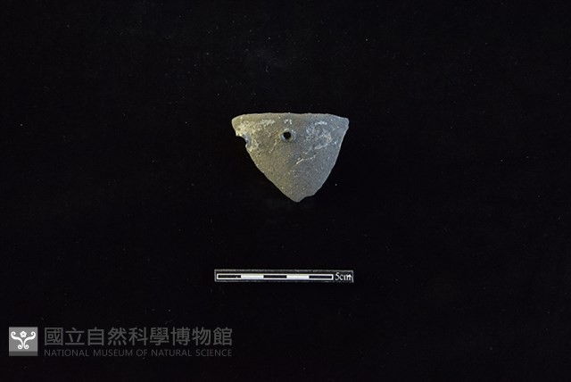 陶片藏品圖，第1張