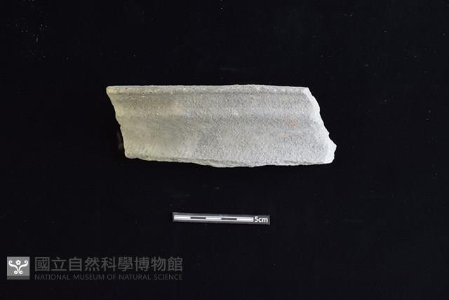 陶罐藏品圖，第1張