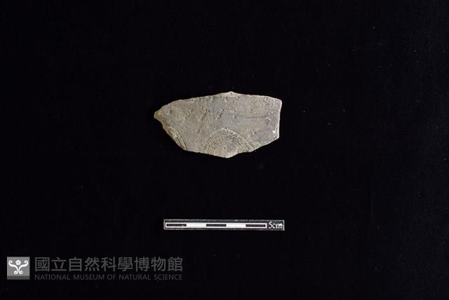 陶片藏品圖，第1張