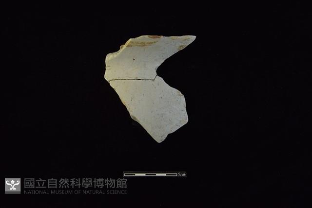 陶罐藏品圖，第1張