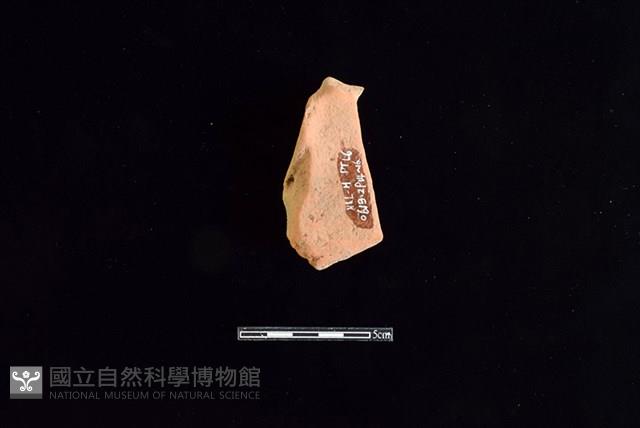 連杯形器藏品圖，第1張