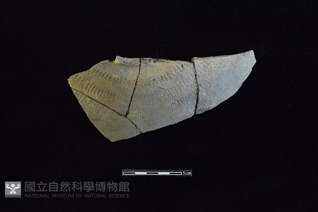 陶罐藏品圖，第1張