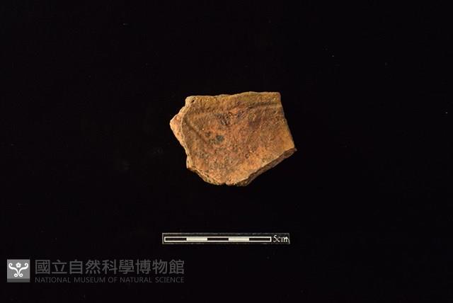 連杯形器藏品圖，第1張