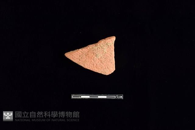 陶片藏品圖，第1張