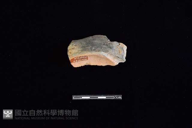 連杯形器藏品圖，第1張
