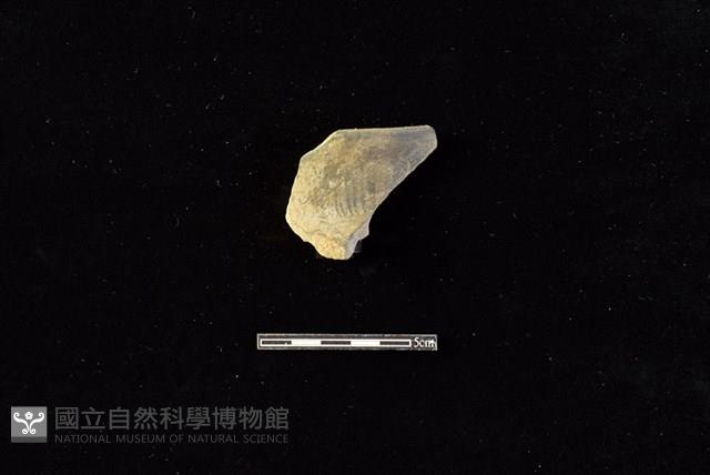 陶罐藏品圖，第1張