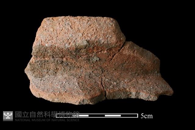 陶罐藏品圖，第1張