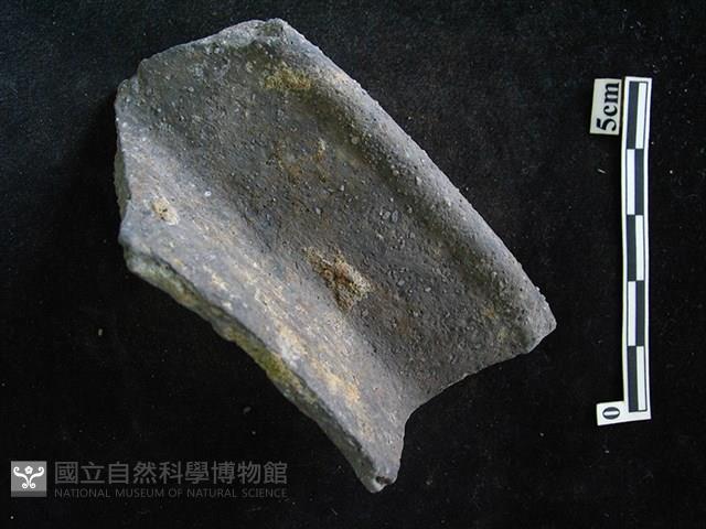 陶片藏品圖，第1張