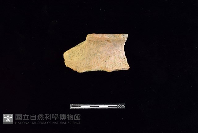 陶罐藏品圖，第1張