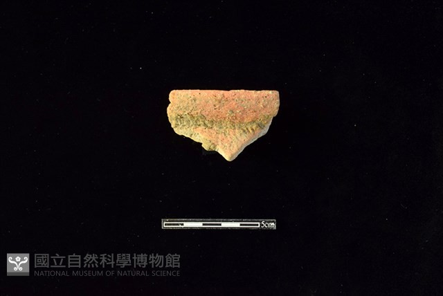陶罐藏品圖，第1張