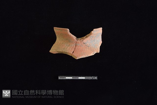 陶罐藏品圖，第1張