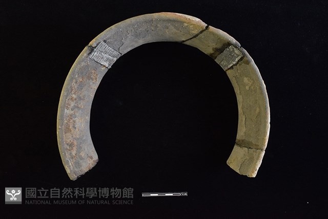 陶罐藏品圖，第1張