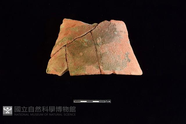 陶片藏品圖，第1張