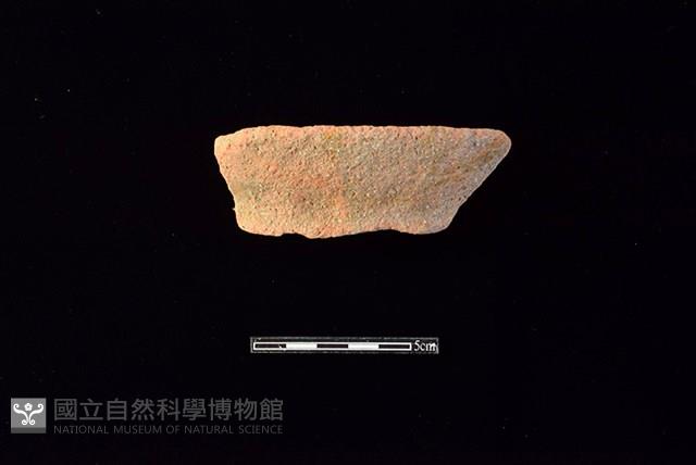 陶罐藏品圖，第1張