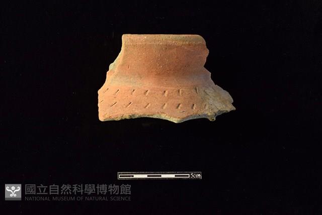 陶罐藏品圖，第1張