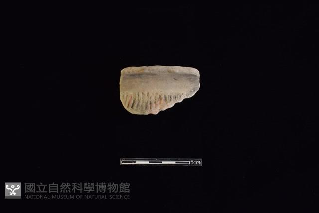 陶罐藏品圖，第1張