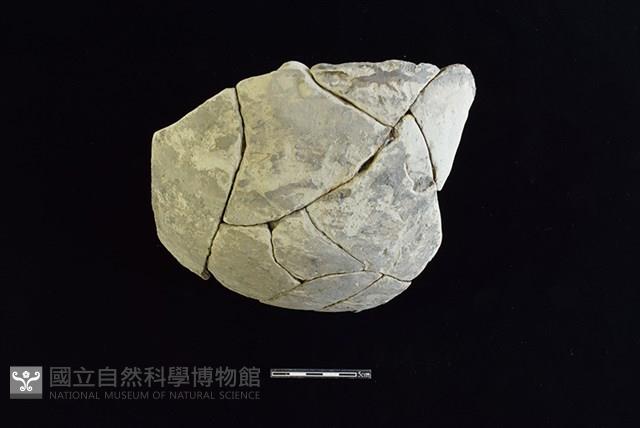 陶罐藏品圖，第1張