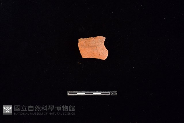 陶片藏品圖，第1張