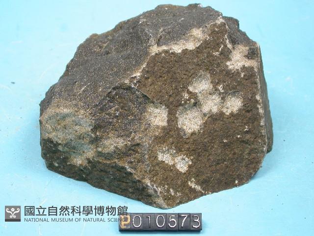 微輝長斑岩藏品圖，第2張