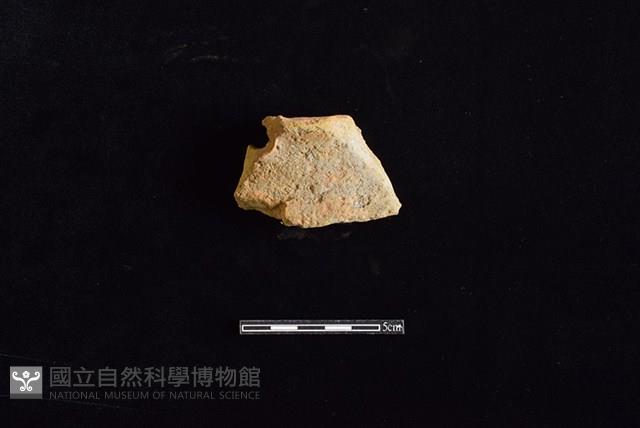 陶片藏品圖，第1張