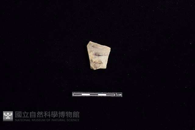 陶片藏品圖，第1張