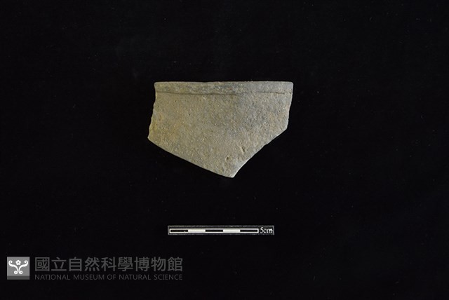 陶片藏品圖，第1張