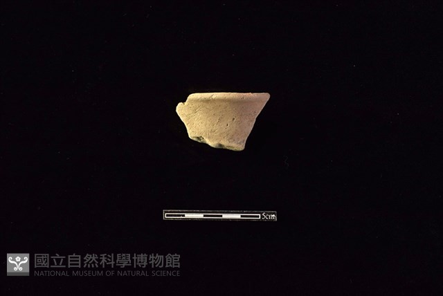 陶罐藏品圖，第1張