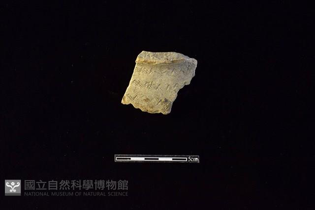 陶罐藏品圖，第1張