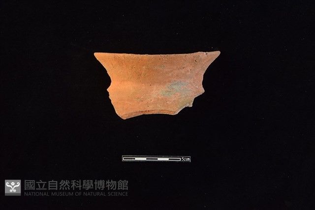 陶罐藏品圖，第1張