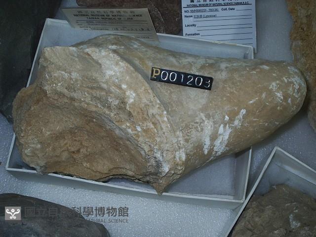 鐘乳石藏品圖，第4張
