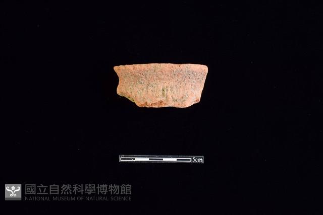 陶罐藏品圖，第1張