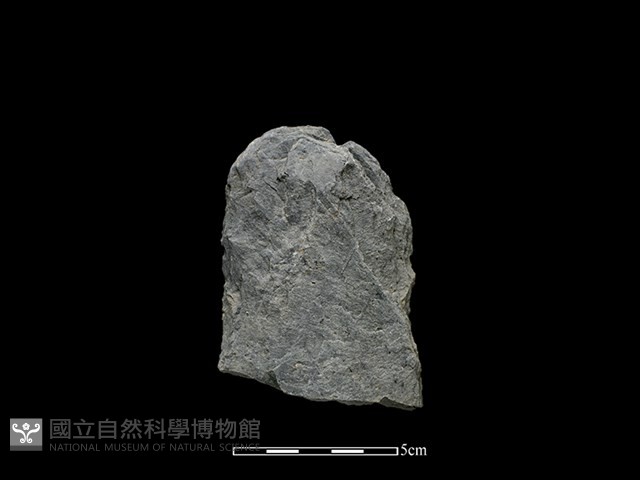 斧鋤形器藏品圖，第1張