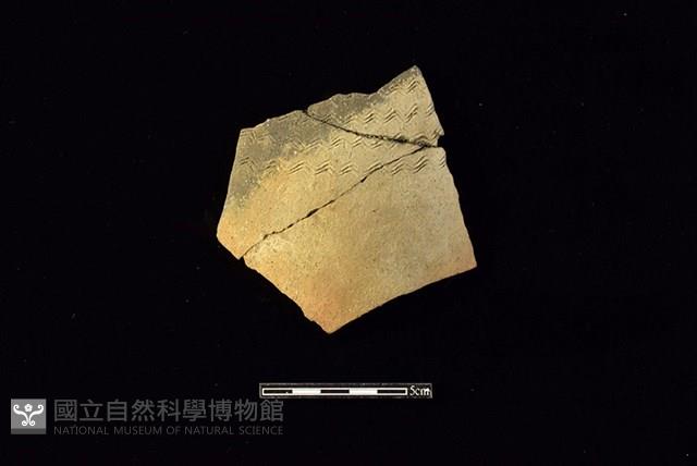 陶片藏品圖，第1張