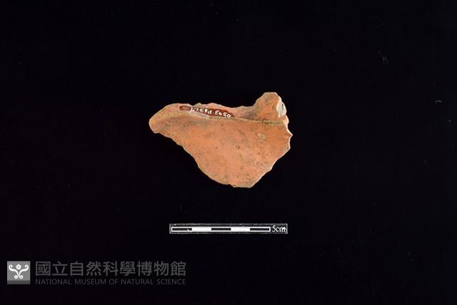 連杯形器藏品圖，第1張