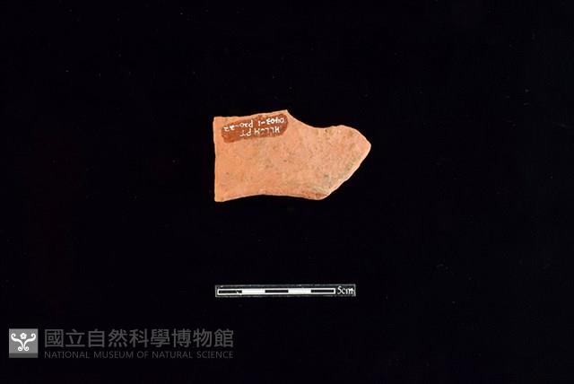 連杯形器藏品圖，第1張