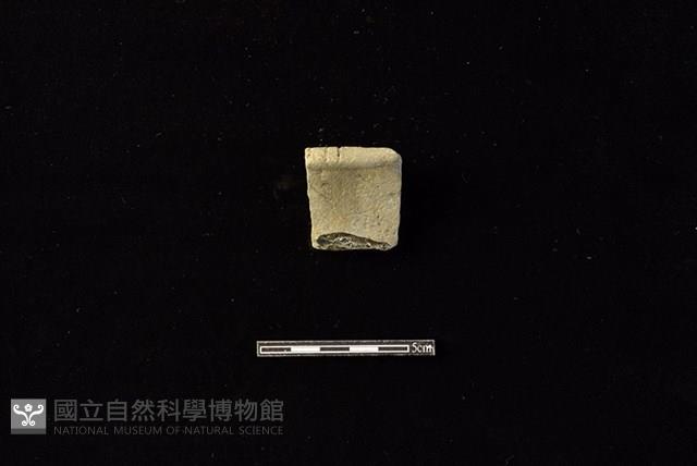 陶片藏品圖，第1張