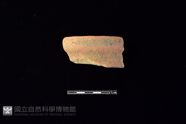 陶罐藏品圖，第1張
