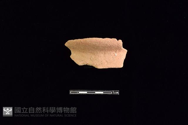 陶罐藏品圖，第1張