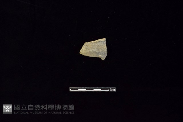 陶罐藏品圖，第1張