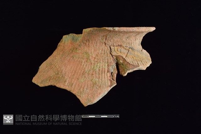 陶罐藏品圖，第1張