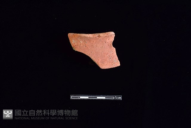 陶片藏品圖，第1張