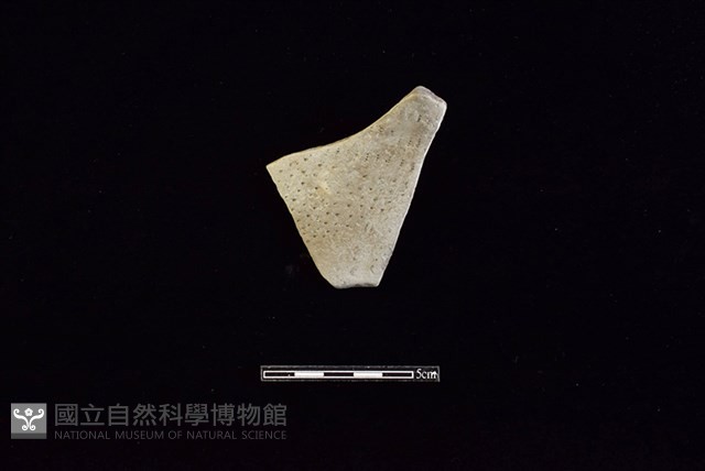 陶罐藏品圖，第1張