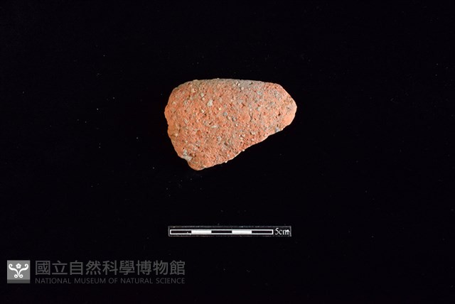陶片藏品圖，第1張